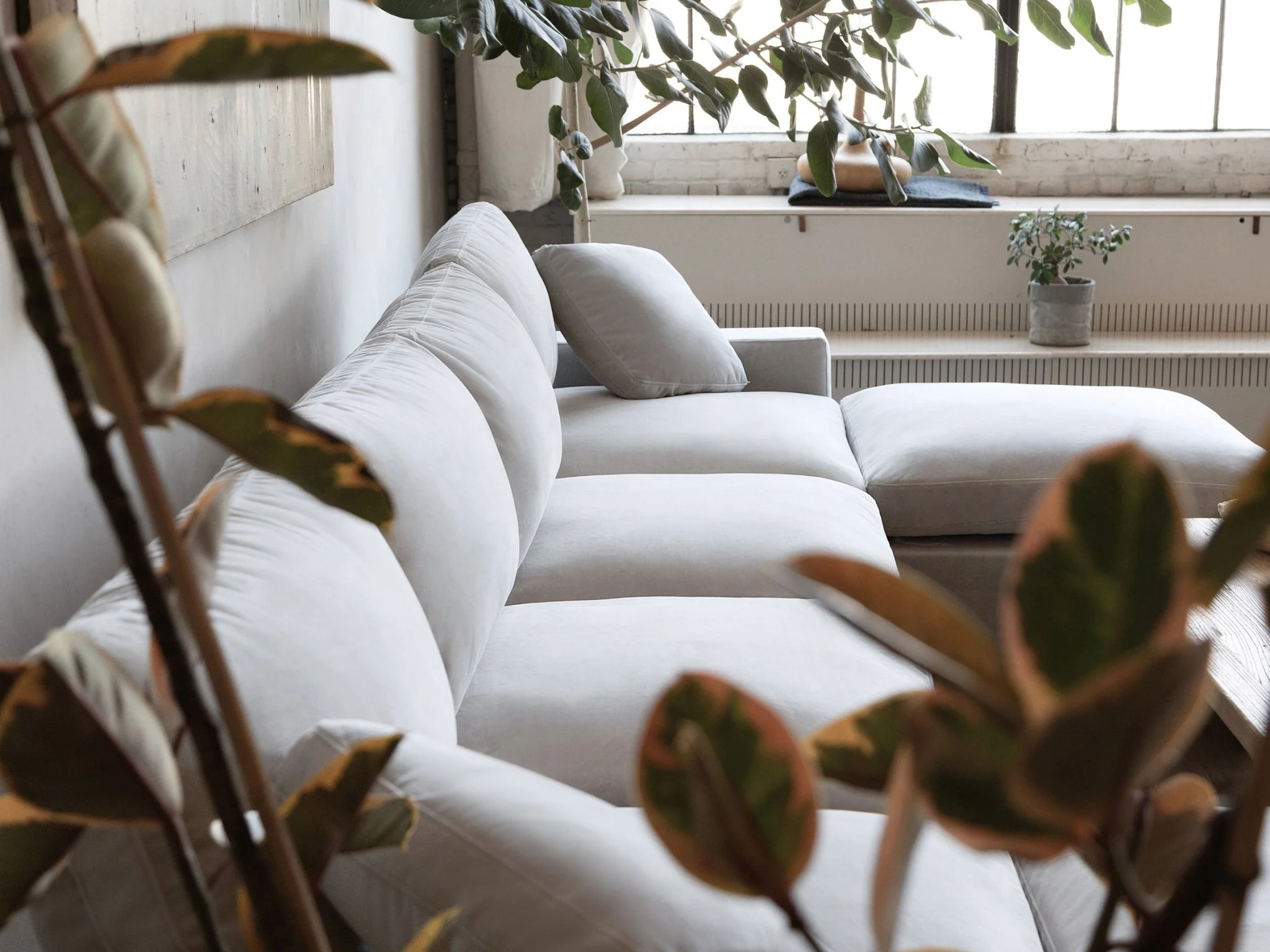 3-Seat Modular Lounger Sofa - Image 201